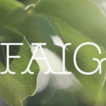 Noves càpsules formatives FAIG: aprofundim en els elements d’un projecte